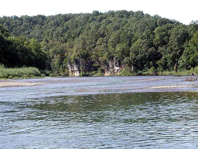 Looking Up at Cedar Stub Hole