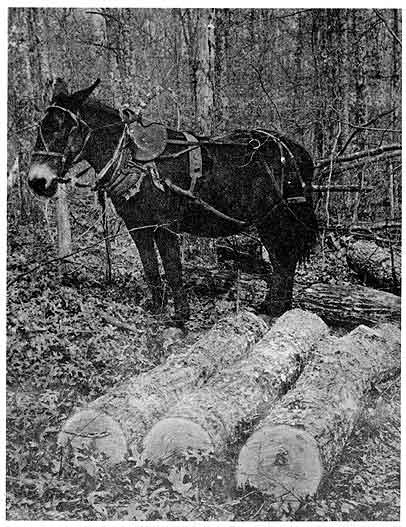 West Eminence Lumbering Days — Page 18 of 28