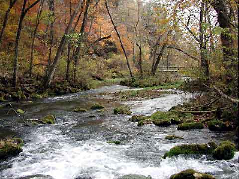 Fall Alley 2002 031
