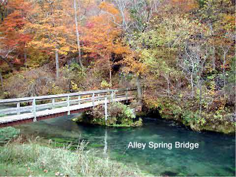 Fall Alley 2002 040