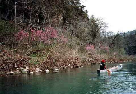 Jacks Fork16