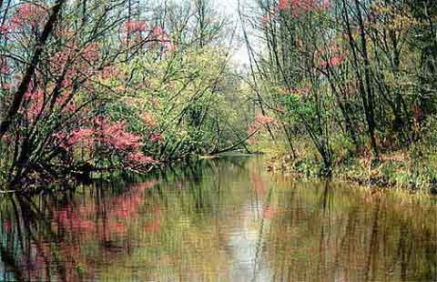 Jacks Fork2
