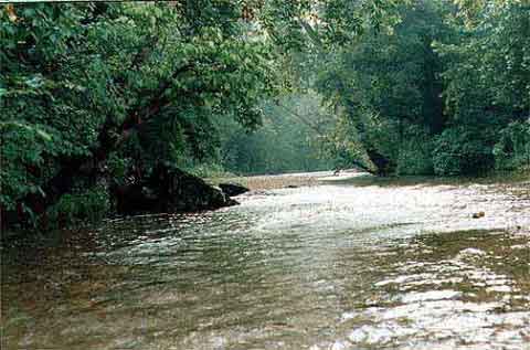 Jacks Fork5