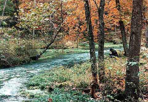 Jacks Fork6