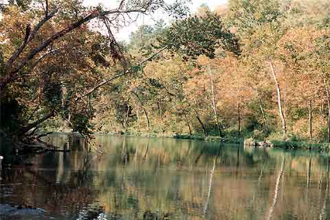 Late Spring Scene