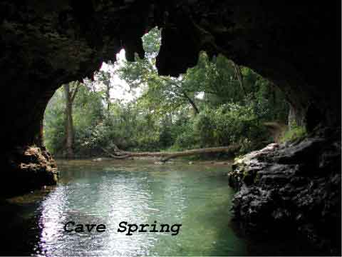 Cave Spring Looking Out