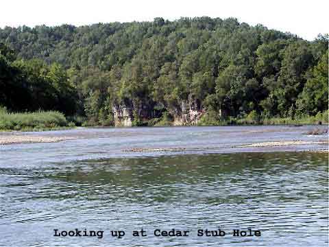 Looking Up at Cedar Stub Hole