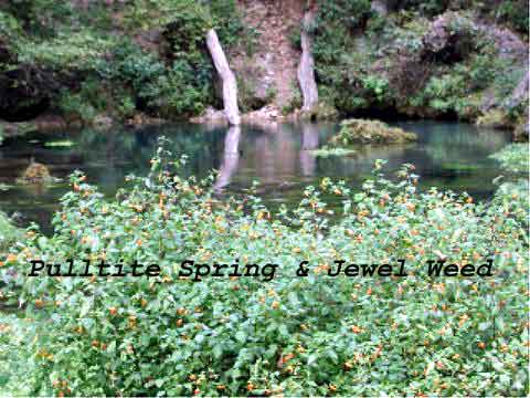 Pulltite Jewel Weed Blue Water