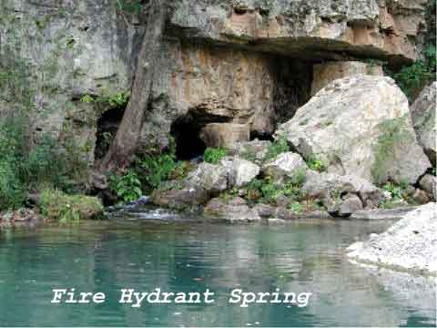 Fire Hydrant Spring