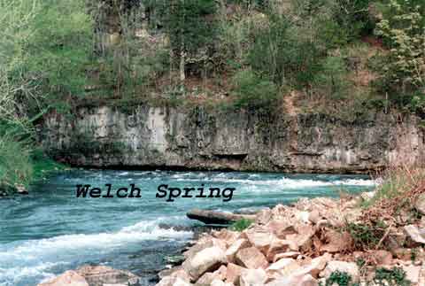 Welsch Spring