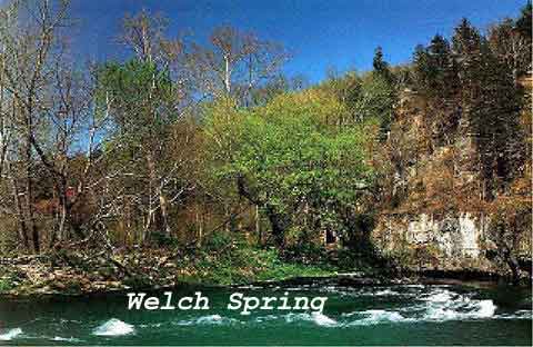 Welsch Spring