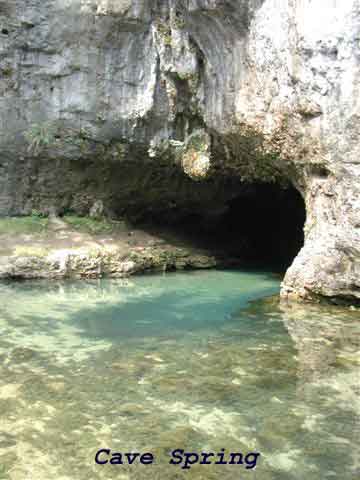 Cave Spring