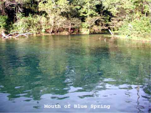 Mouth of Blue Spring
