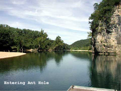Entering Ant Hole