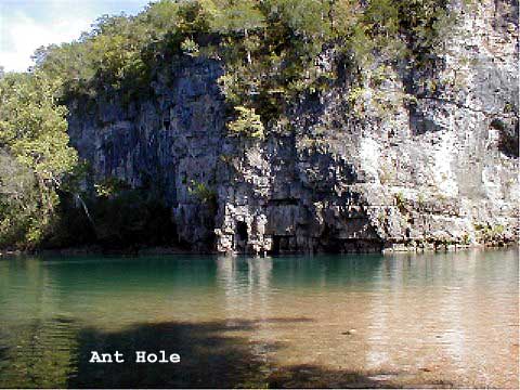 Ant Hole and Bluff