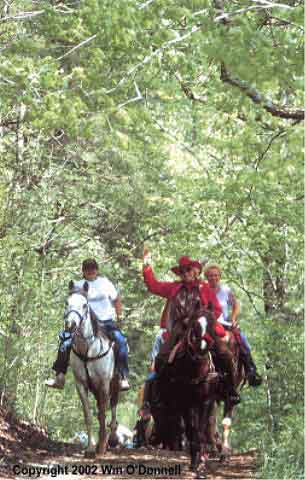 Ozark National Scenic Riverways — Photo 42