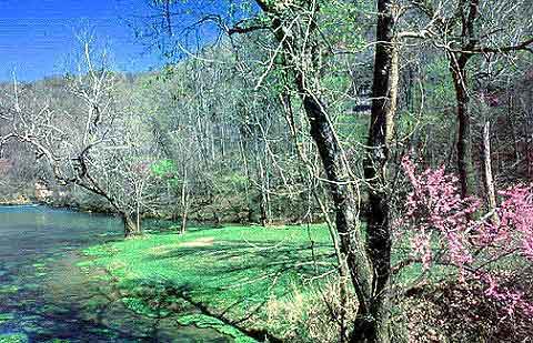 Ozark National Scenic Riverways — Photo 50