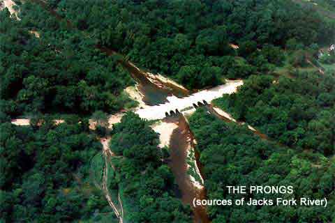 The Prongs