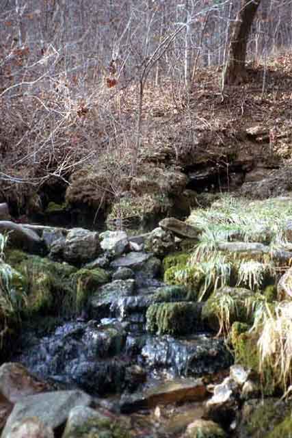 Rymer Spring2